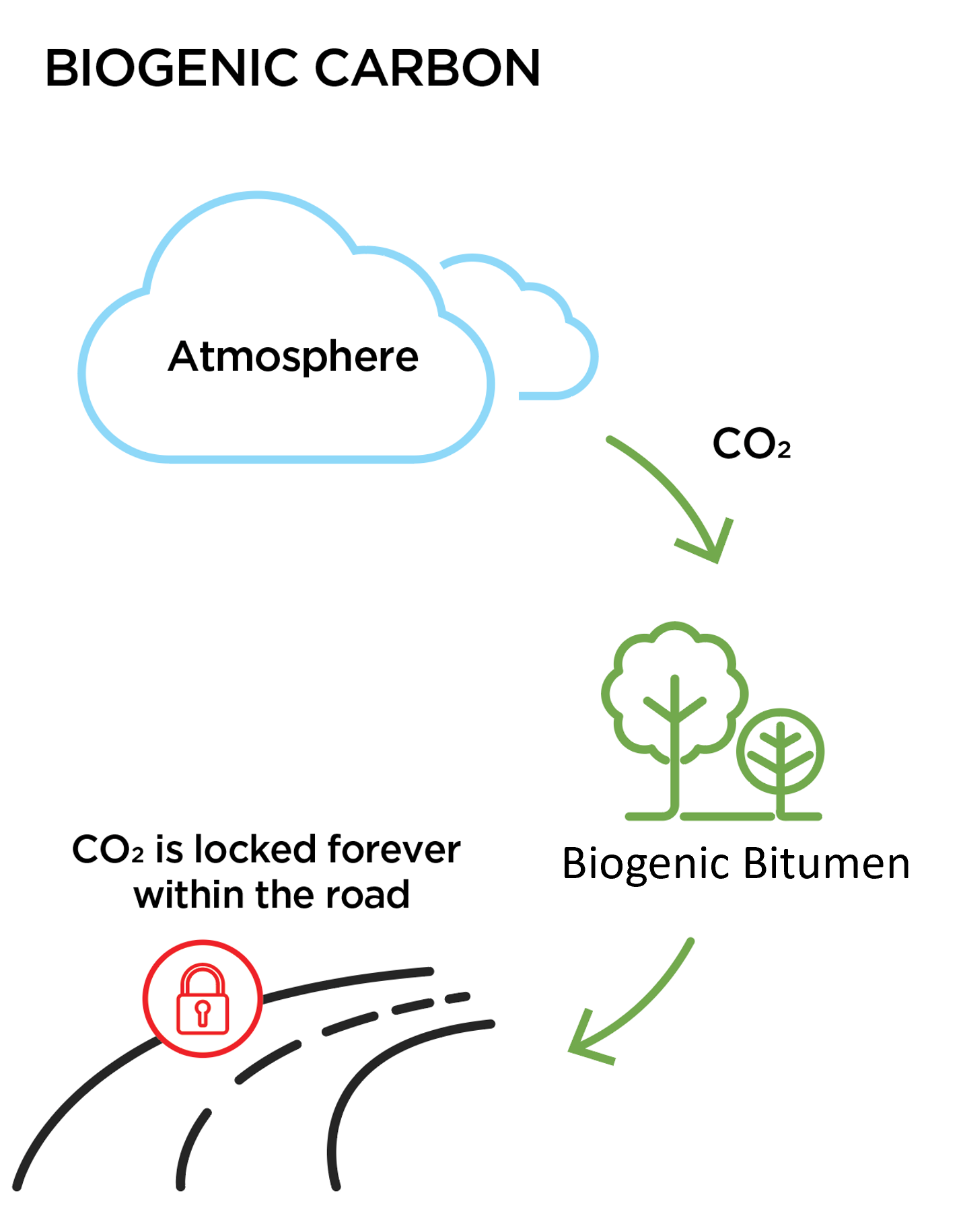 Biogenic Carbon Life Cycle