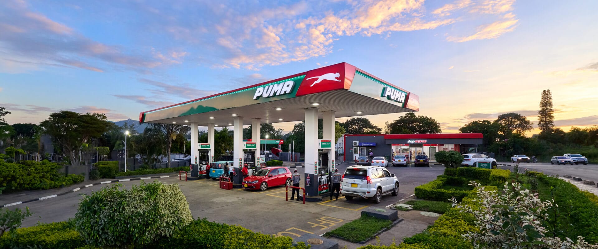 Puma energy gas station